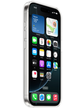 Kryt Apple iPhone 16 Pro MagSafe, čirá