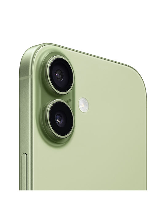 iPhone 17 5G 256GB, šalvějově zelená