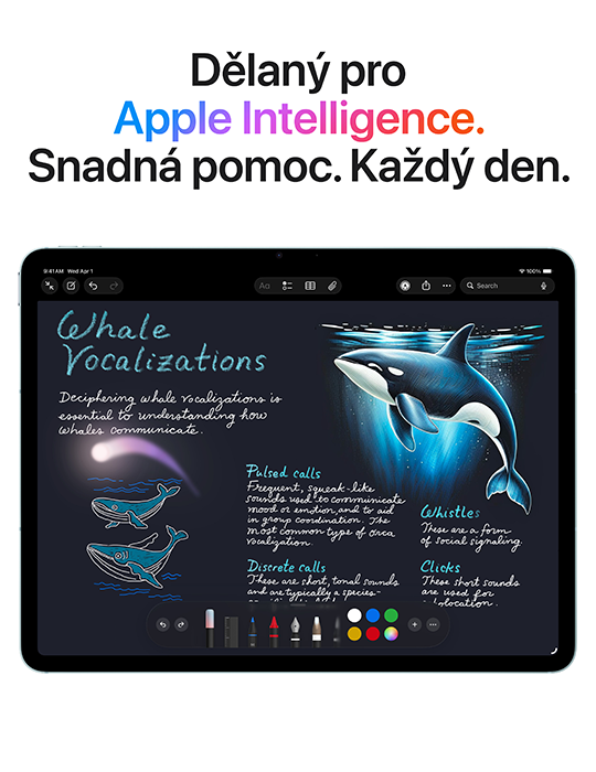 iPad Air 13 256GB Wi-Fi+Cellular (2026), hvězdně bílá