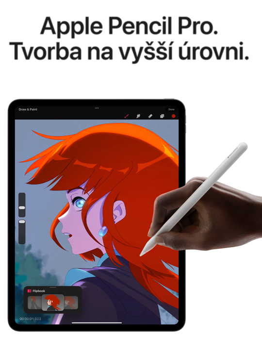 iPad Pro 11 1TB WiFi+Cellular (2024), černá