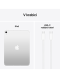 iPad 11 256GB Wi-Fi+Cellular (2025), stříbrná