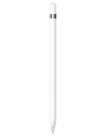 main