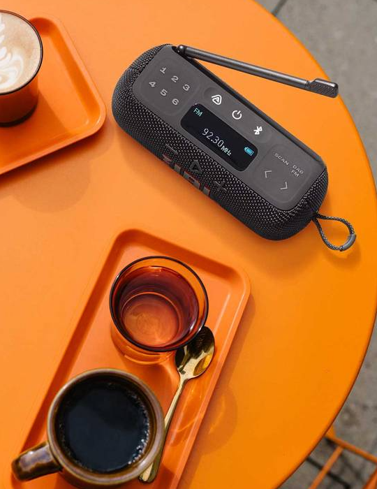 Reproduktor JBL TUNER 3, černá