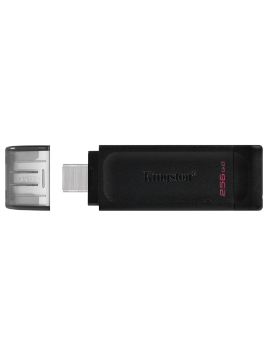 Flash disk Kingston 256GB, černá