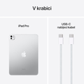 iPad Pro 11 256GB Wi-Fi+Cellular (2025), stříbrná