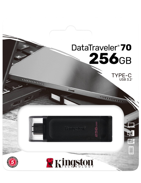 Flash disk Kingston 256GB, černá