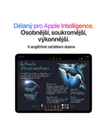 iPad Air 11 256GB Wi-Fi+Cellular (2025), šedá