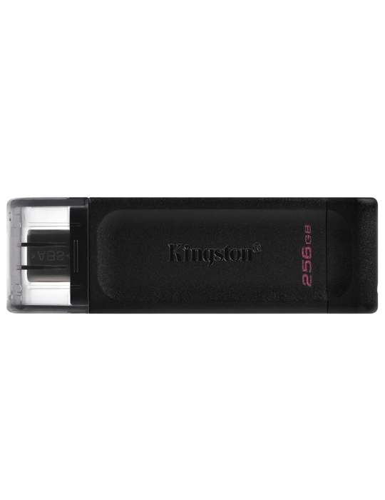 Flash disk Kingston 256GB, černá