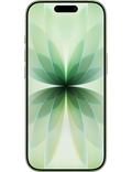 iPhone 17 5G 256GB, šalvějově zelená