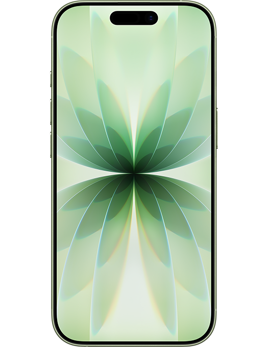 iPhone 17 5G 256GB, šalvějově zelená