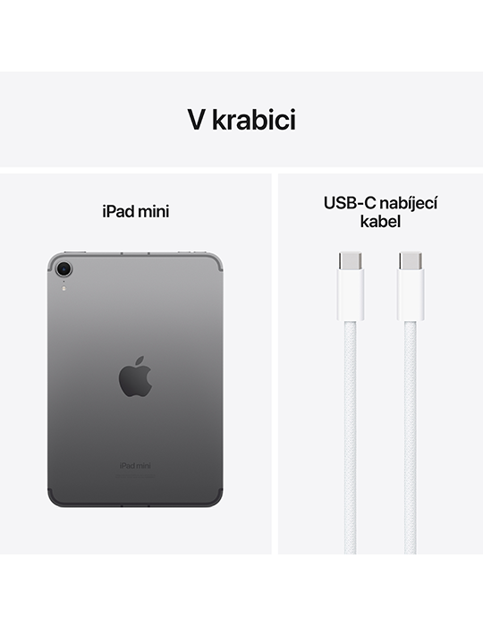 iPad mini 256GB Wi-Fi+Celluar (2024), šedá