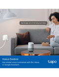 Chytrá zásuvka TP-Link Tapo P100M Matter, bílá