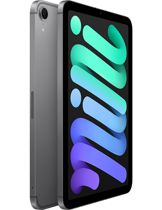 iPad mini 512GB Wi-Fi+Celluar (2024), šedá