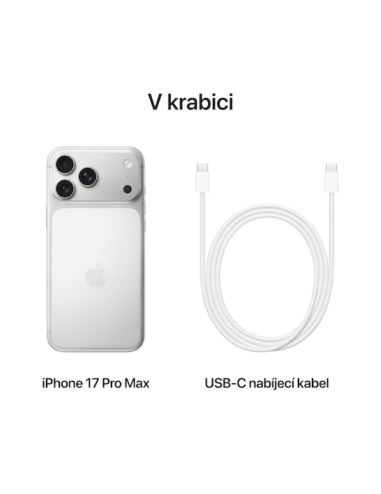 iPhone 17 Pro Max 5G 256GB, stříbrná