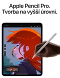 iPad Pro 13 2TB WiFi+Cellular (2024), stříbrná