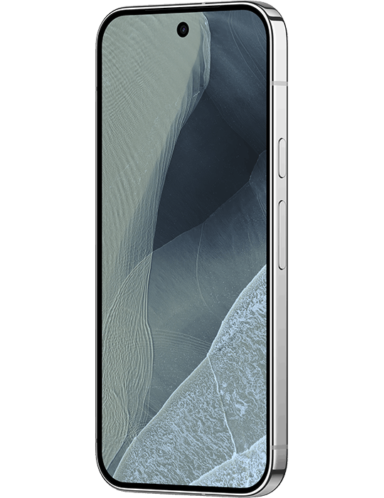 Google Pixel 11 Pro 5G 256GB, Fog