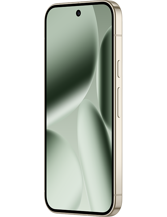 Google Pixel 10 Pro 5G 256GB, Jade