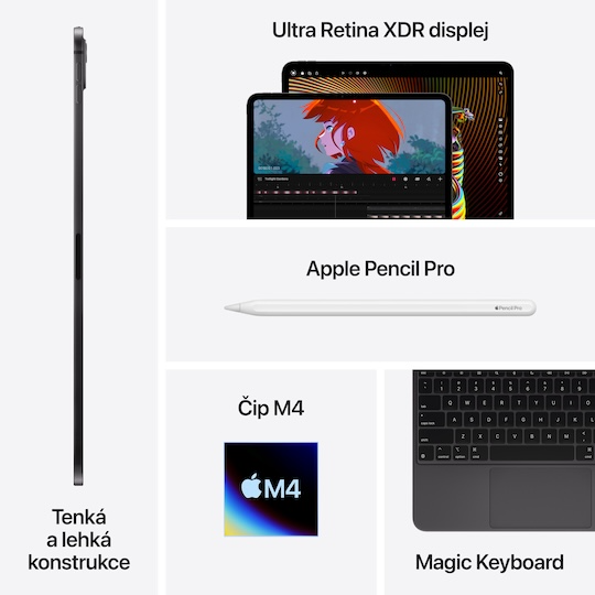 iPad Pro 11 2TB WiFi+Cellular (2024), černá