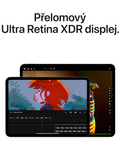 iPad Pro 11 1TB WiFi+Cellular (2024), černá