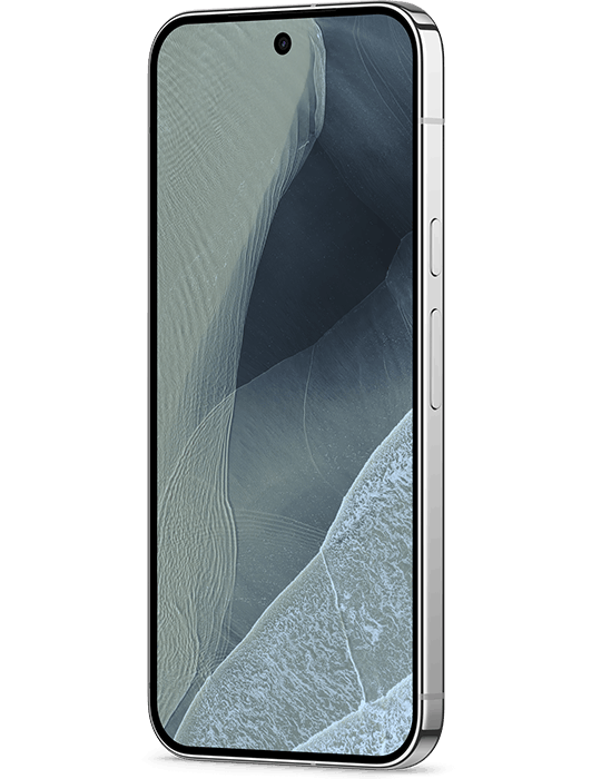 Google Pixel 11 Pro XL 5G 512GB, Fog
