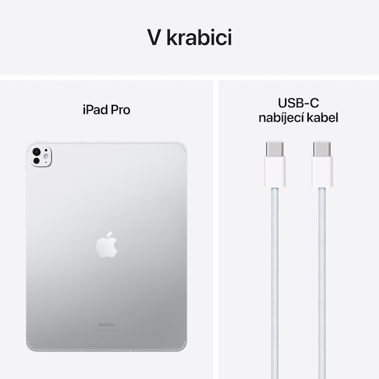 iPad Pro 13 1TB WiFi+Cellular (2024), stříbrná