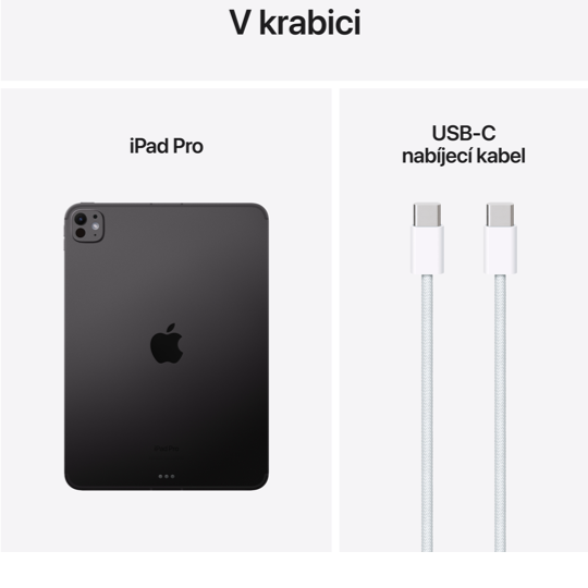 iPad Pro 11 1TB Wi-Fi+Cellular (2025), černá